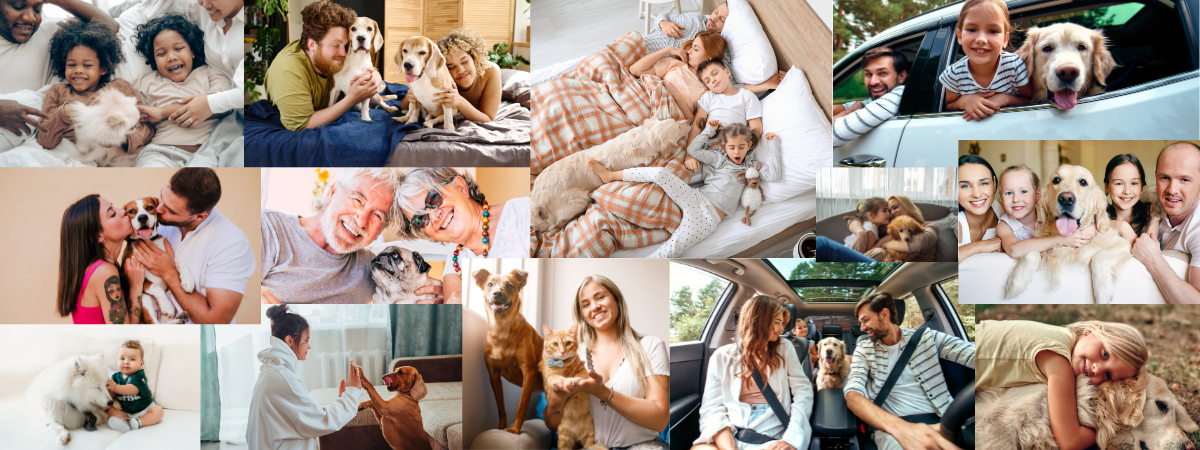 Pets, Cura e Propósito: Como Nossos Animais nos Ajudam a Viver Melhor (ah, nem gosto de pet! então não pule esse post)